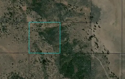 40 Acres Recreational Land Sprague River
