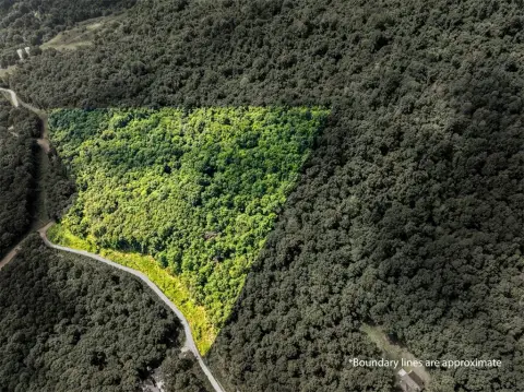 10 Acres Near Buffalo River