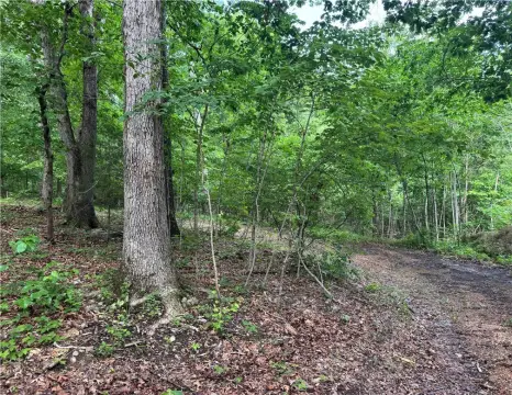 Bella Vista Land Near Trails
