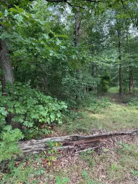 Agricultural Land with Paved Road Frontage