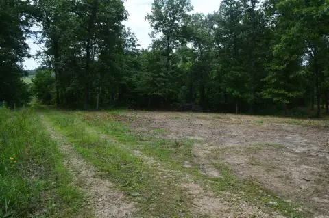 Acreage Lot in Fifty Six Acres