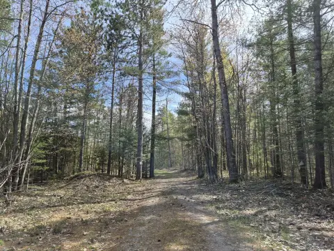 Recreation and Hunting Land