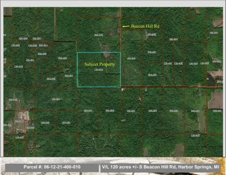 Wooded Hunting Land with Road Access