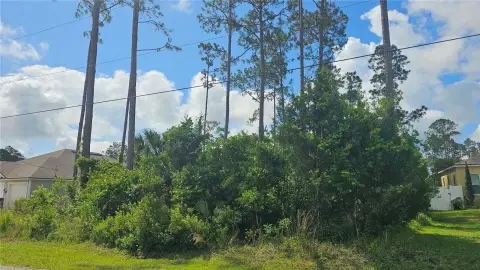 Vacant Lot in Palm Coast