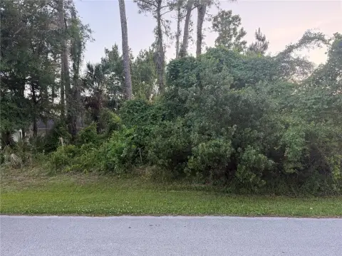 Residential Land in Palm Coast