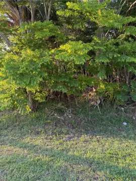 Land in Palm Coast, FL