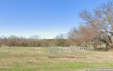 Wooded Lot in Selma, TX