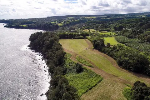 Oceanfront Land Near Hilo