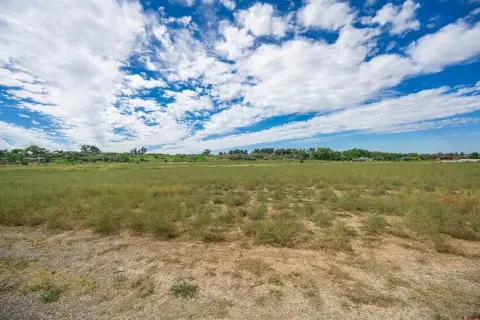 Montrose Irrigated Land Parcel