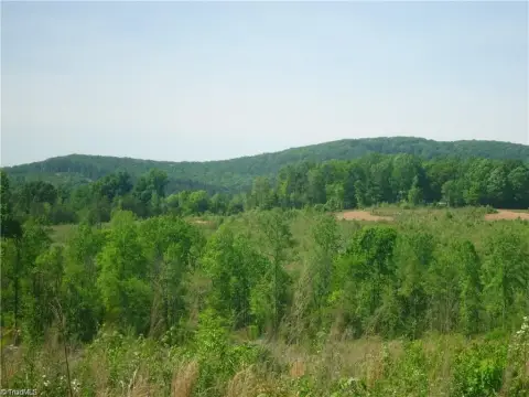 Land Tract Backing To Creek