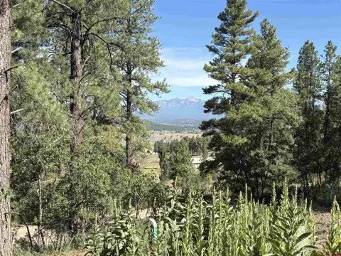 Pagosa Springs Residential Land