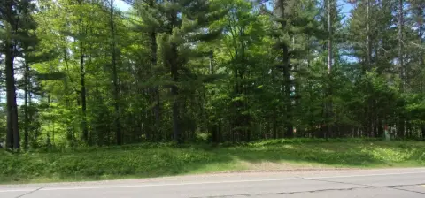 Wooded Commercial Development Land
