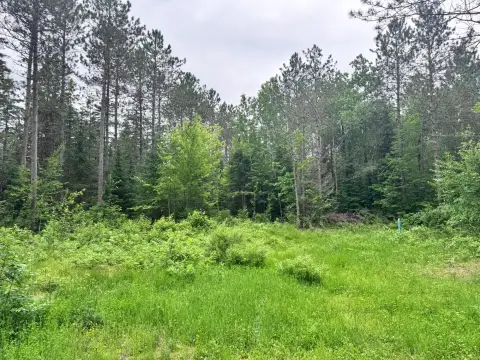 Hunting Land Tract