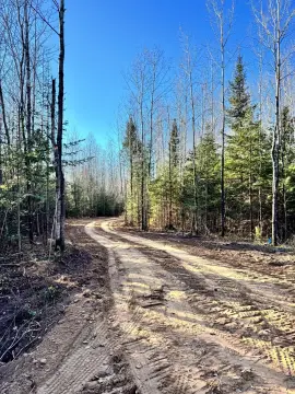 Wooded Hunting Recreation Land