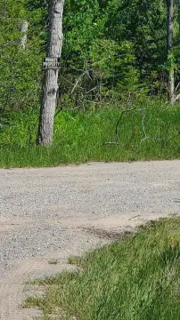 Rolling Hills Hunting Land