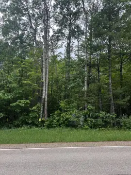Buildable Hunting Land Parcel