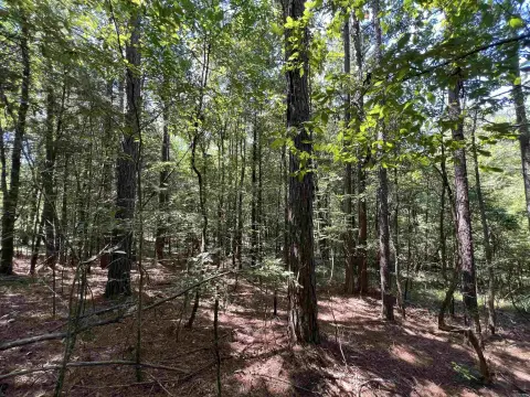 Wooded Recreational Land Tract
