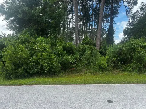 Residential Lot in Palm Coast