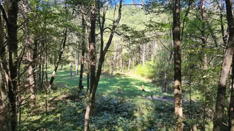 33.5 Acres of Tennessee Land
