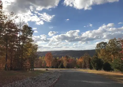 Wooded Lot in Fredonia Reserve