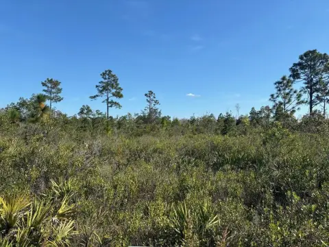 Land in St. Cloud, Florida