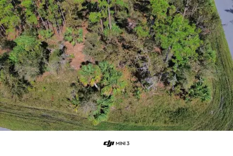 Oversized Double Lot in Port Charlotte