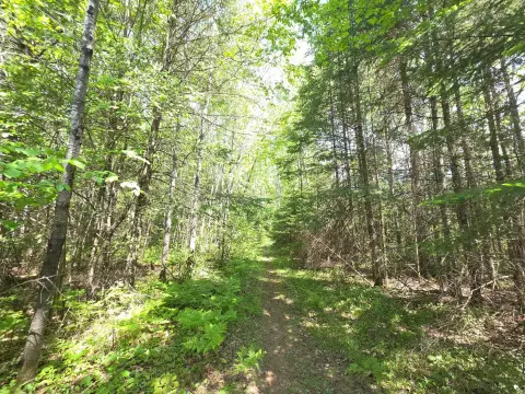 Northwoods Land Near Solberg Lake