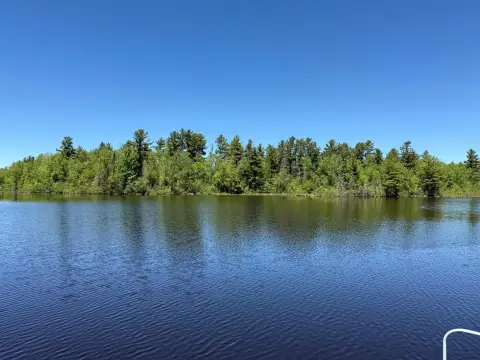 Waterfront Land with River Frontage