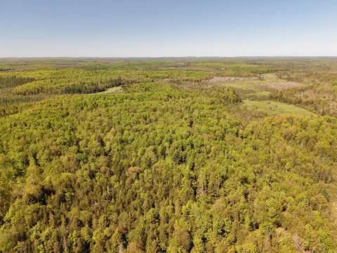 Northwoods Hunting and Recreation Land