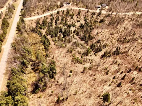 Land in Land O' Lakes