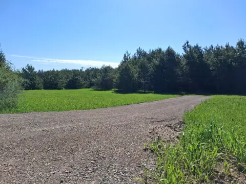 Vacant Land Near Mullett Lake