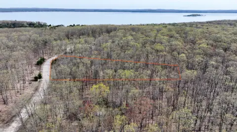 Buildable Lot Near Higgins Lake