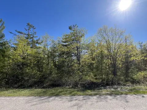 Wooded Lot in Presque Isle