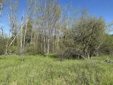 Land in Cheboygan, Michigan