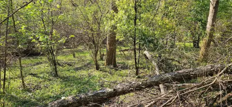 Unrestricted Acre in Fairhope School