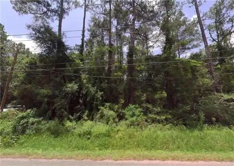 Residential Lot in Dixie Pines