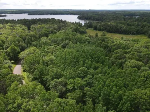 Wooded Forestry Land Parcel