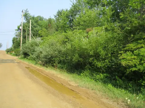 Vacant Land Near Lake Michigan