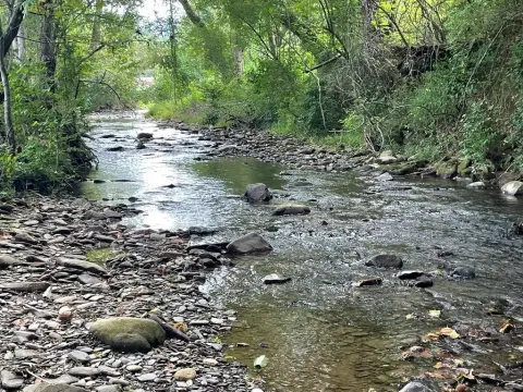 Land on Rushing Creek