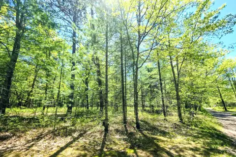 Wooded Home Site Opportunity