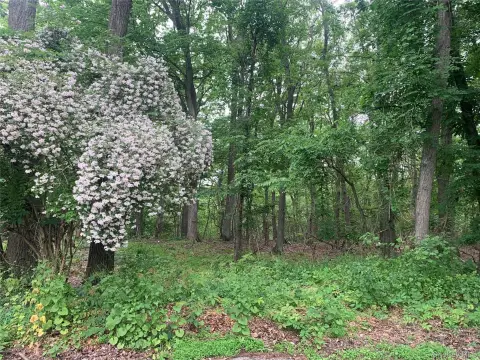Residential Land in Port Jefferson