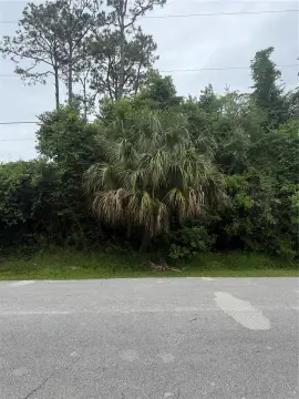 Vacant Lot in Growing City