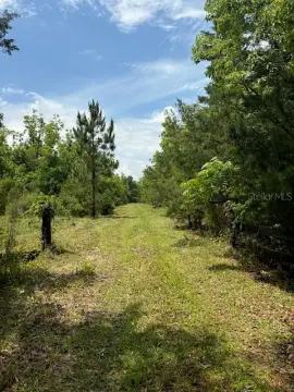10 Acres in St. Johns Park