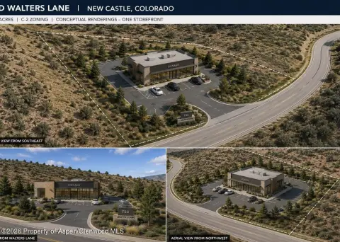 C2 Commercial Land