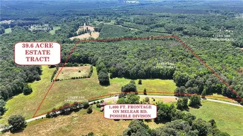 Agricultural Land with Road Frontage