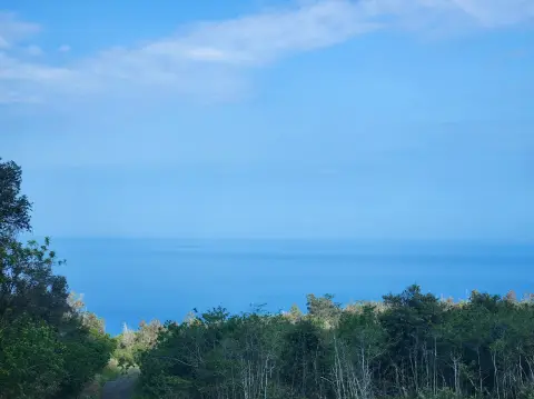 Private Kona Coffee District Land