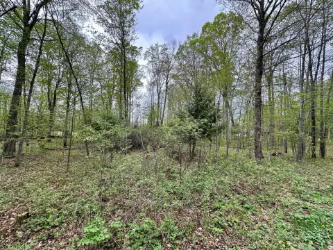 Wooded Lot Near Golf Course