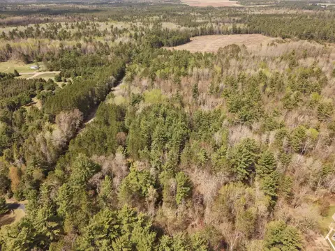 Eagle River Wooded Land Parcel