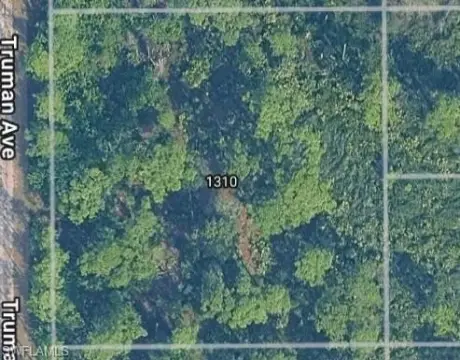 Lehigh Acres One-Acre Upland Lot