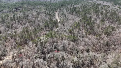 Recreational Land in Panola, AL